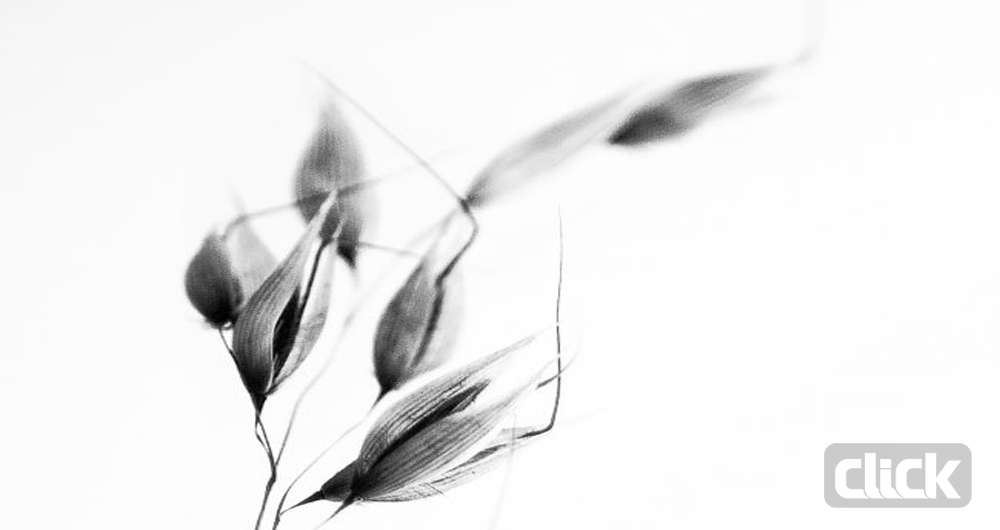 چگونه عکس سیاه و سفید خوبی بگیریم؟